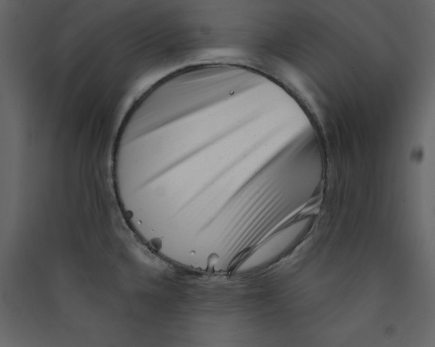 X0000089441336200707131858