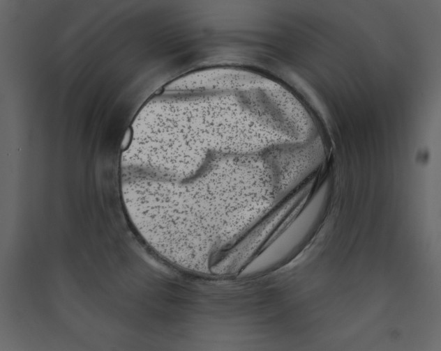 X0000089441337200707131858