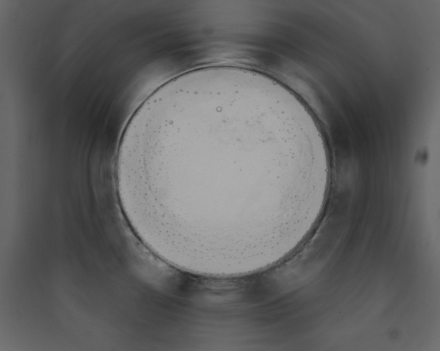 X0000089441338200707131858