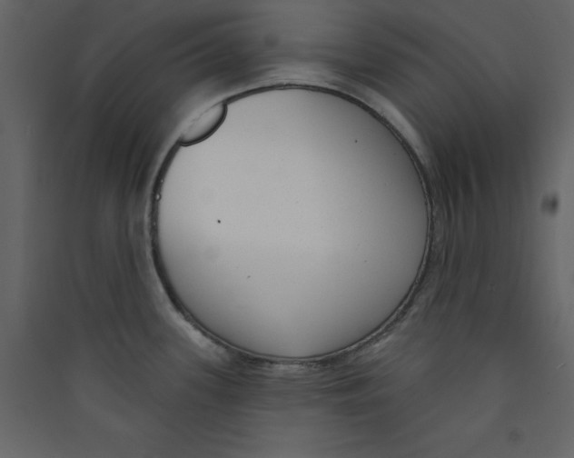 X0000089441339200707131858