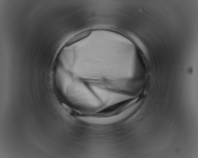 X0000089441340200707131858