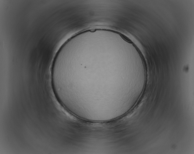 X0000089441341200707131858