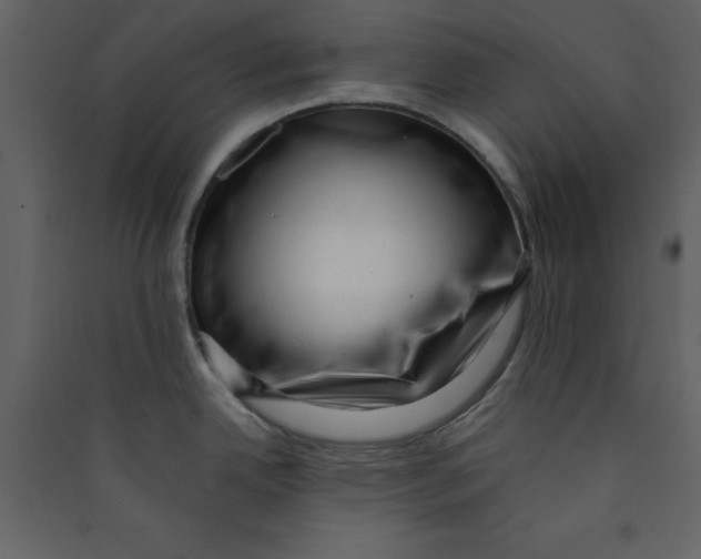 X0000089441342200707131858