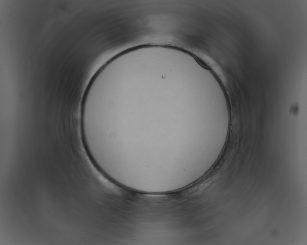 X0000089441343200707131858