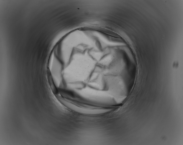 X0000089441344200707131858