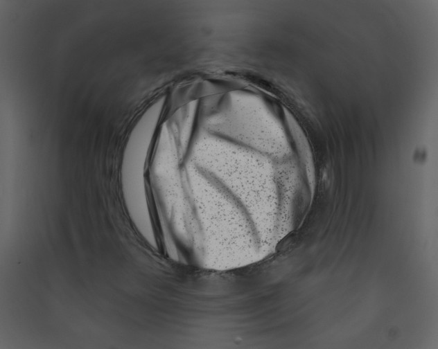 X0000089441348200707131857