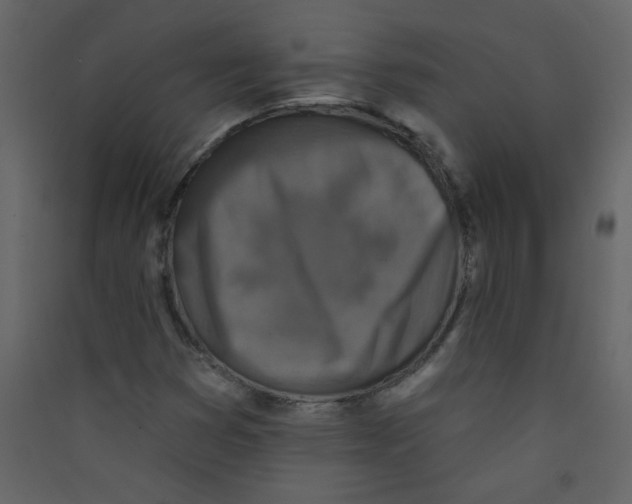 X0000089441353200707131857