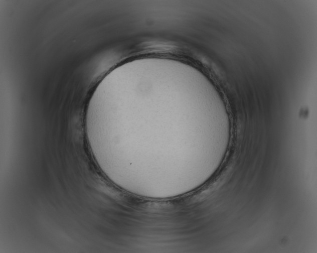 X0000089441354200707131857