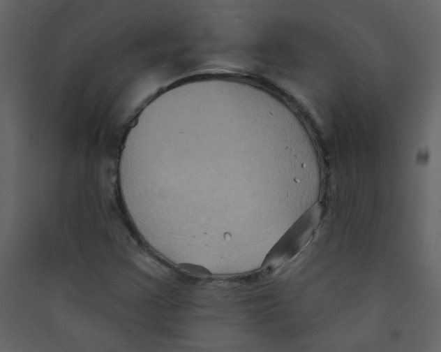 X0000089441355200707131857