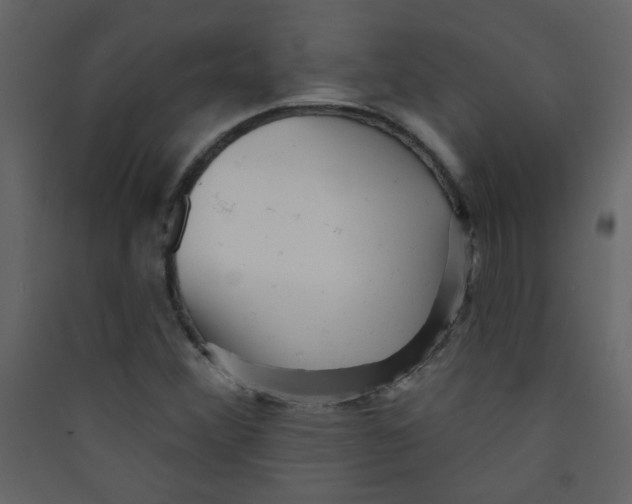 X0000089441356200707131857