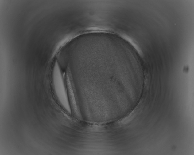 X0000089441357200707131857