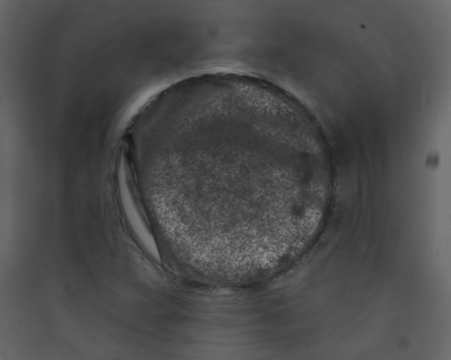 X0000089441359200707131857