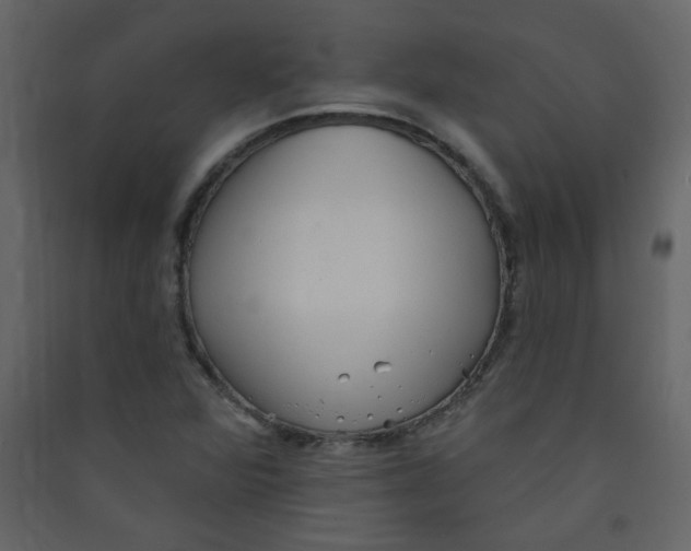 X0000089441360200707131857
