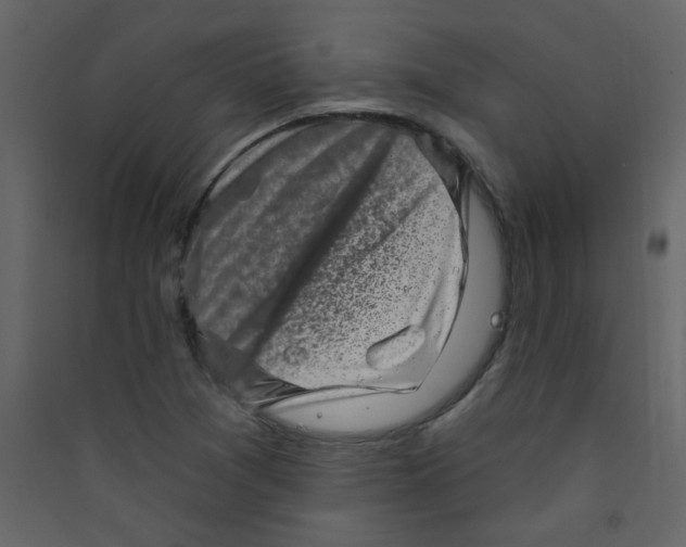X0000089441361200707131857