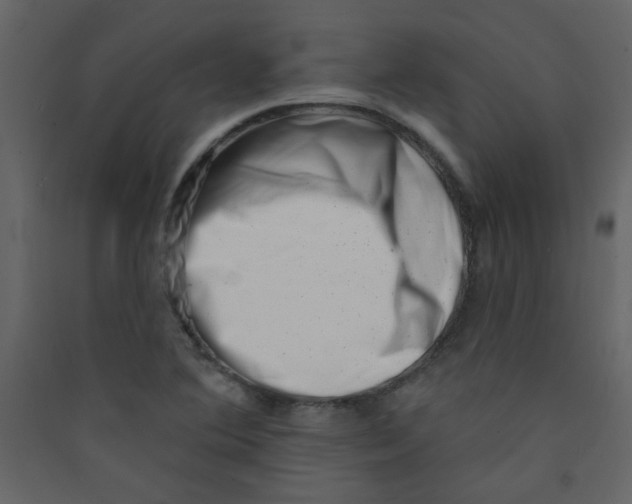 X0000089441364200707131857