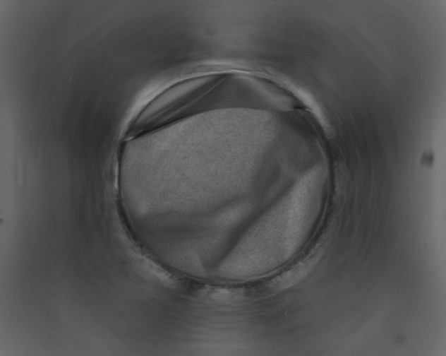 X0000089441365200707131857