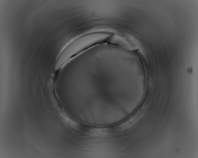 X0000089441369200707131857