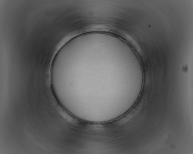 X0000089441370200707131857
