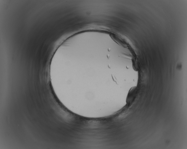 X0000089441371200707131857