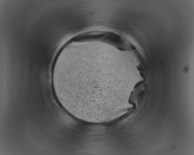 X0000089441372200707131857