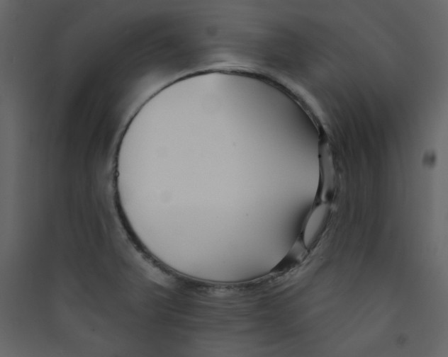 X0000089441375200707131857