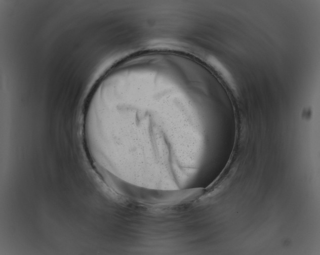 X0000089441376200707131857