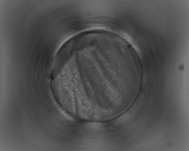 X0000089441377200707131857