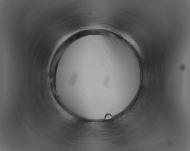 X0000089441380200707131857