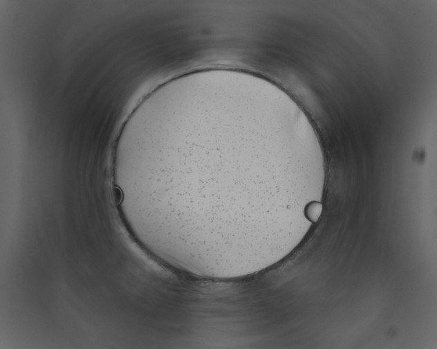 X0000089441382200707131857