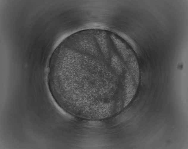 X0000089441383200707131857