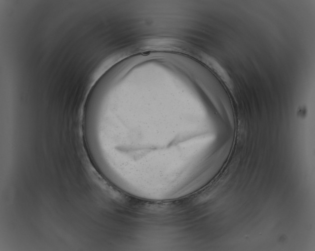 X0000089441386200707131857