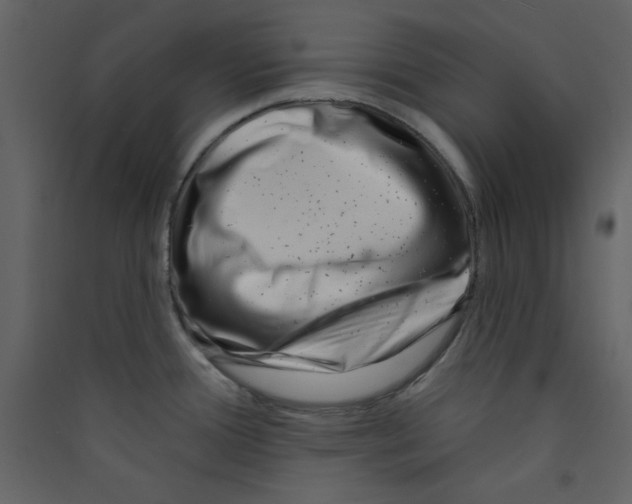 X0000089441388200707131857