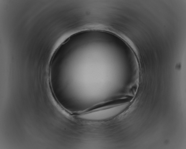 X0000089441389200707131857