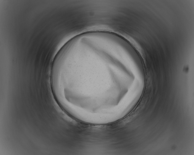 X0000089441390200707131857