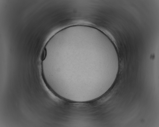 X0000089441391200707131857