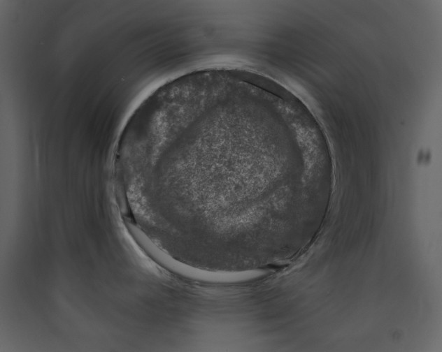 X0000089441392200707131857