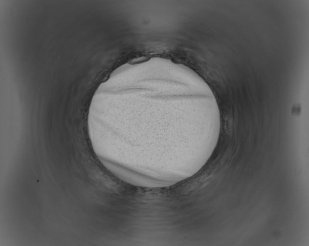 X0000089441393200707131856