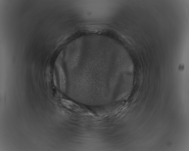 X0000089441394200707131856