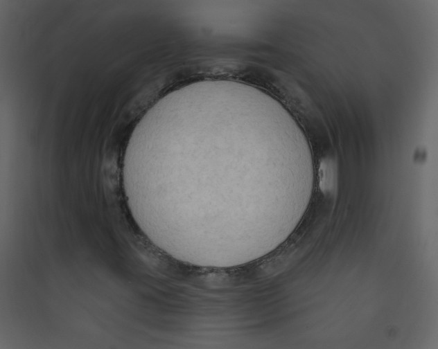 X0000089441395200707131856