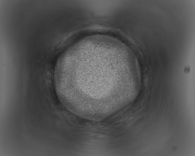 X0000089441397200707131856
