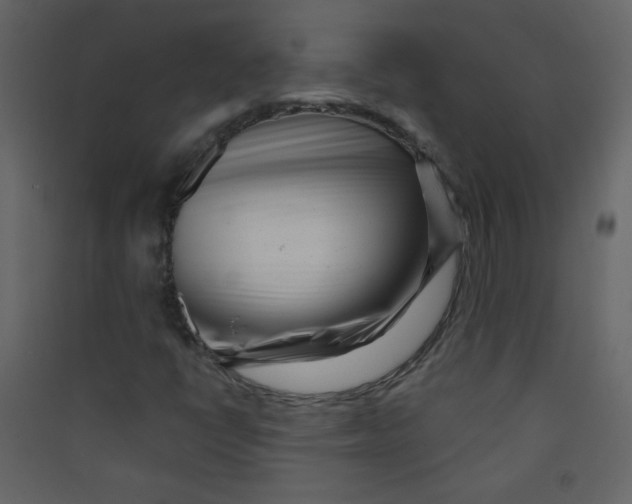 X0000089441398200707131856