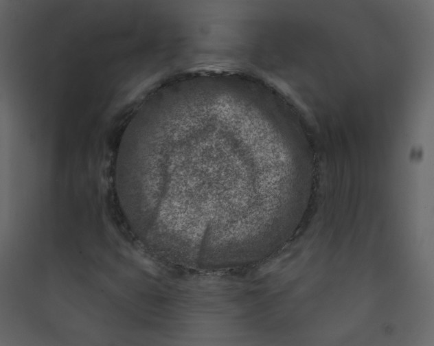 X0000089441399200707131856