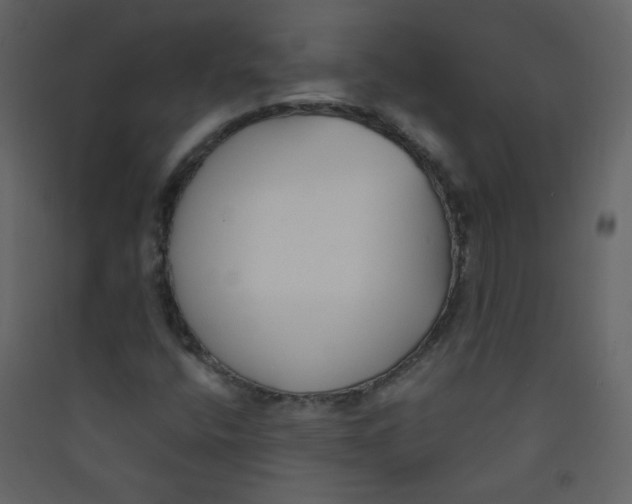 X0000089441400200707131856