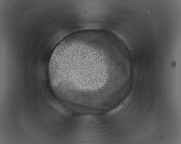 X0000089441401200707131856