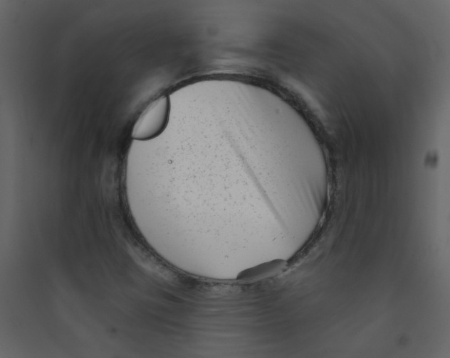 X0000089441403200707131856