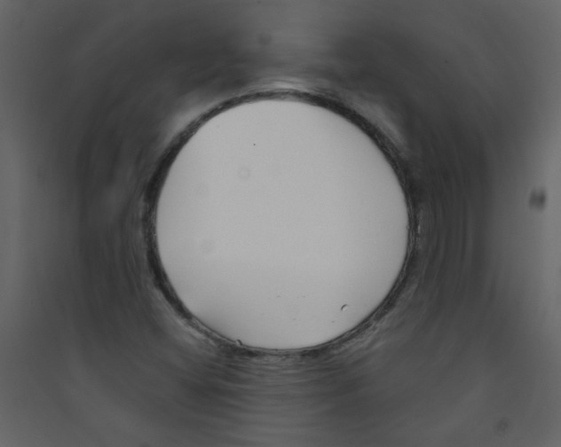 X0000089441404200707131856