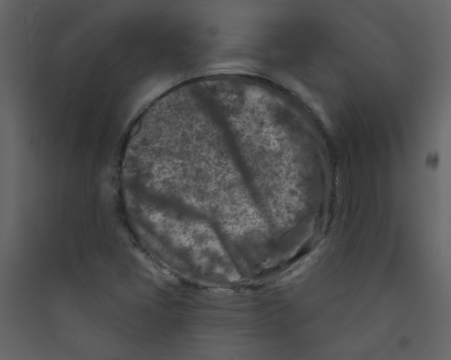 X0000089441405200707131856