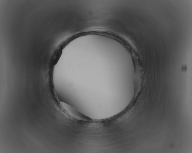 X0000089441406200707131856