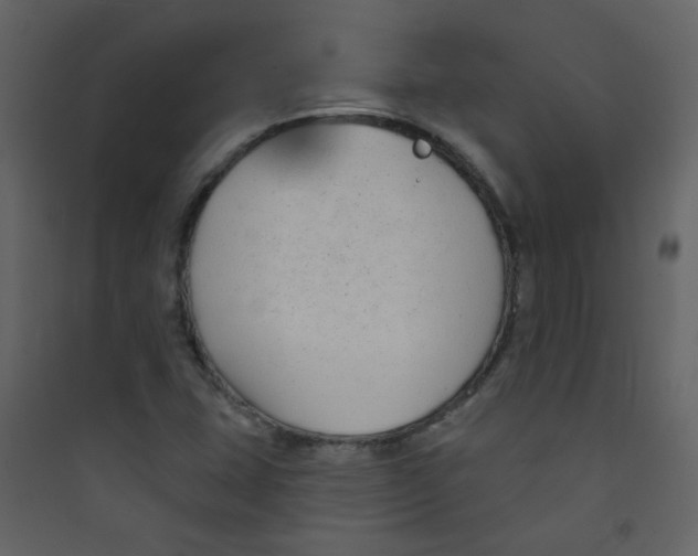 X0000089441407200707131856