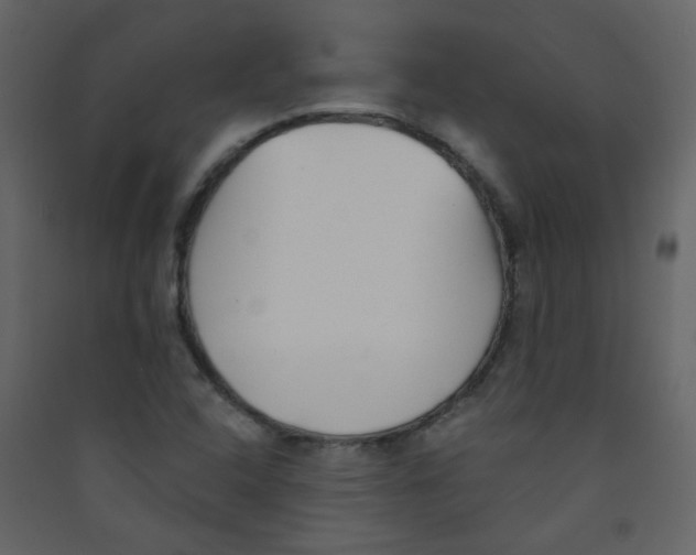 X0000089441408200707131856